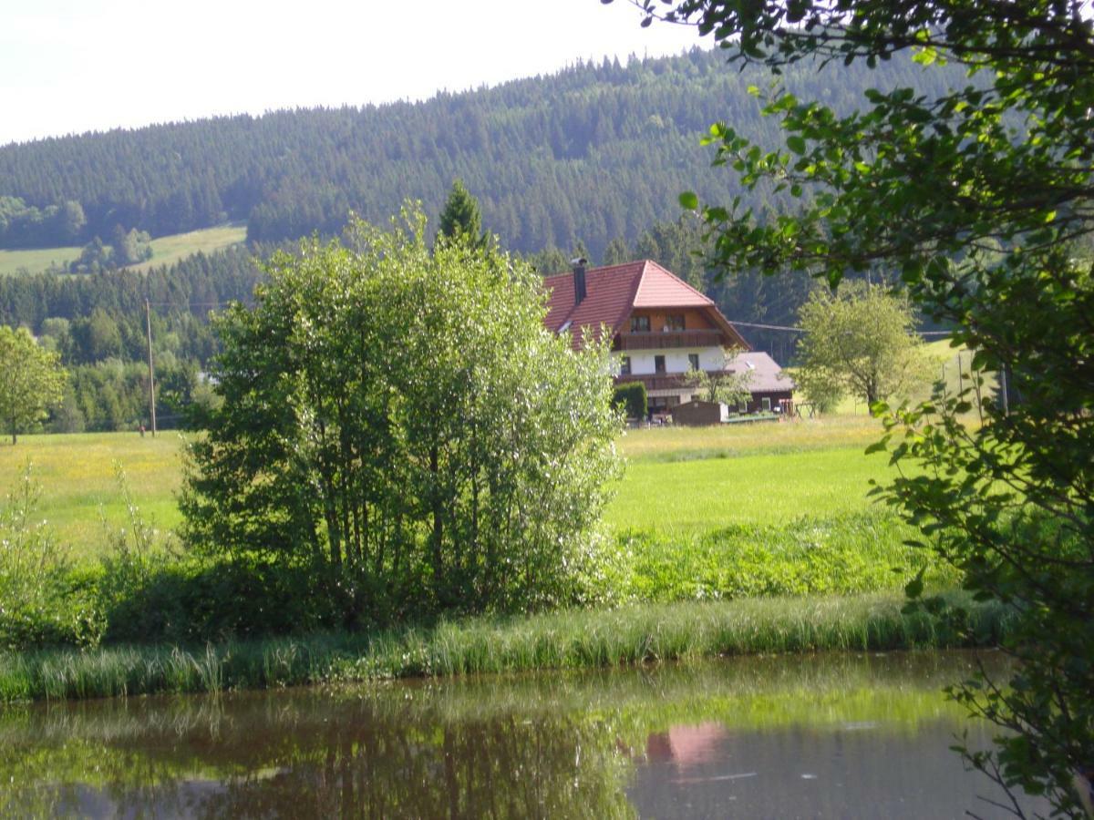 Ferienhaus Ehinger Leilighet Breitnau Eksteriør bilde