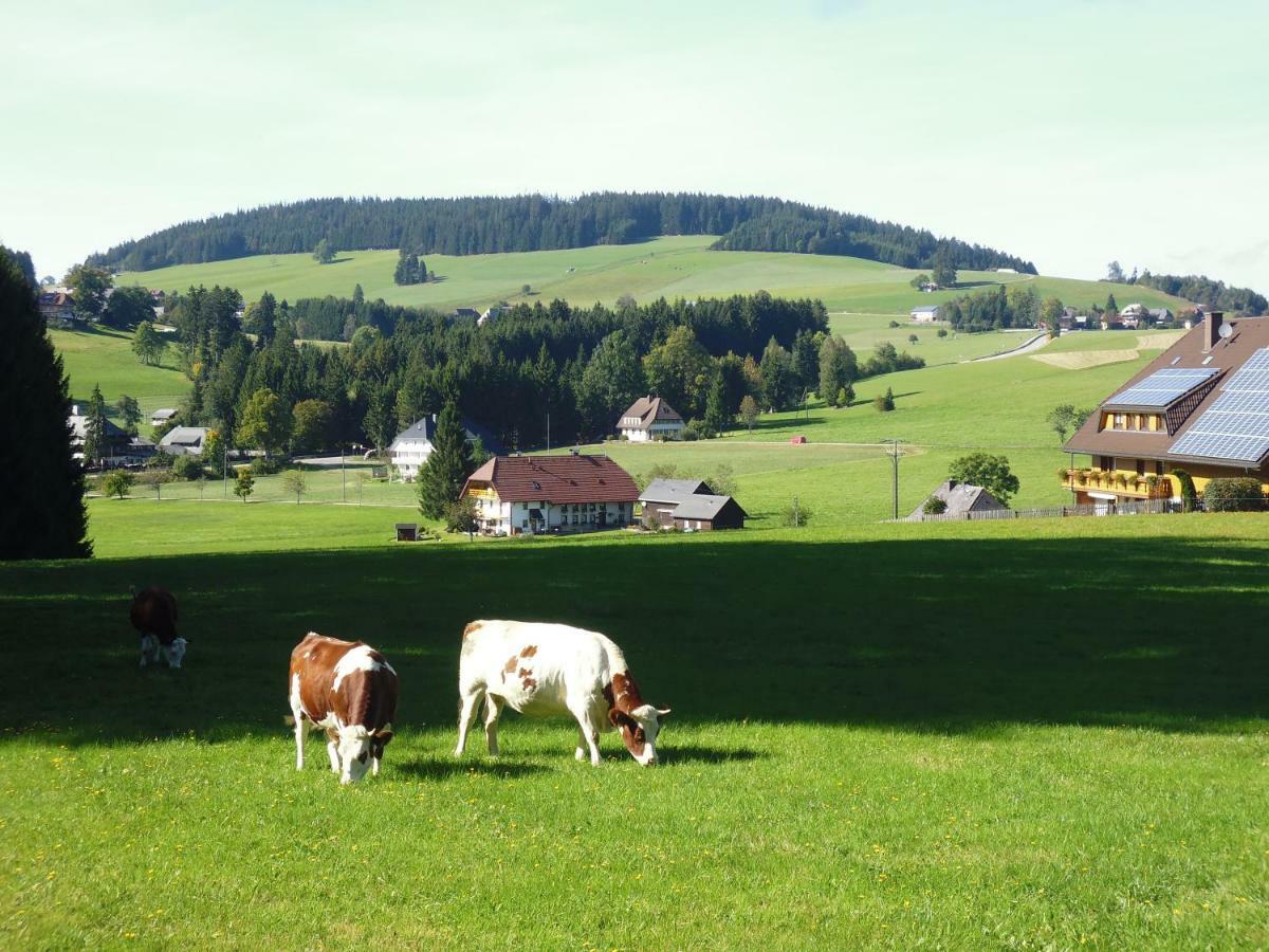 Ferienhaus Ehinger Leilighet Breitnau Eksteriør bilde
