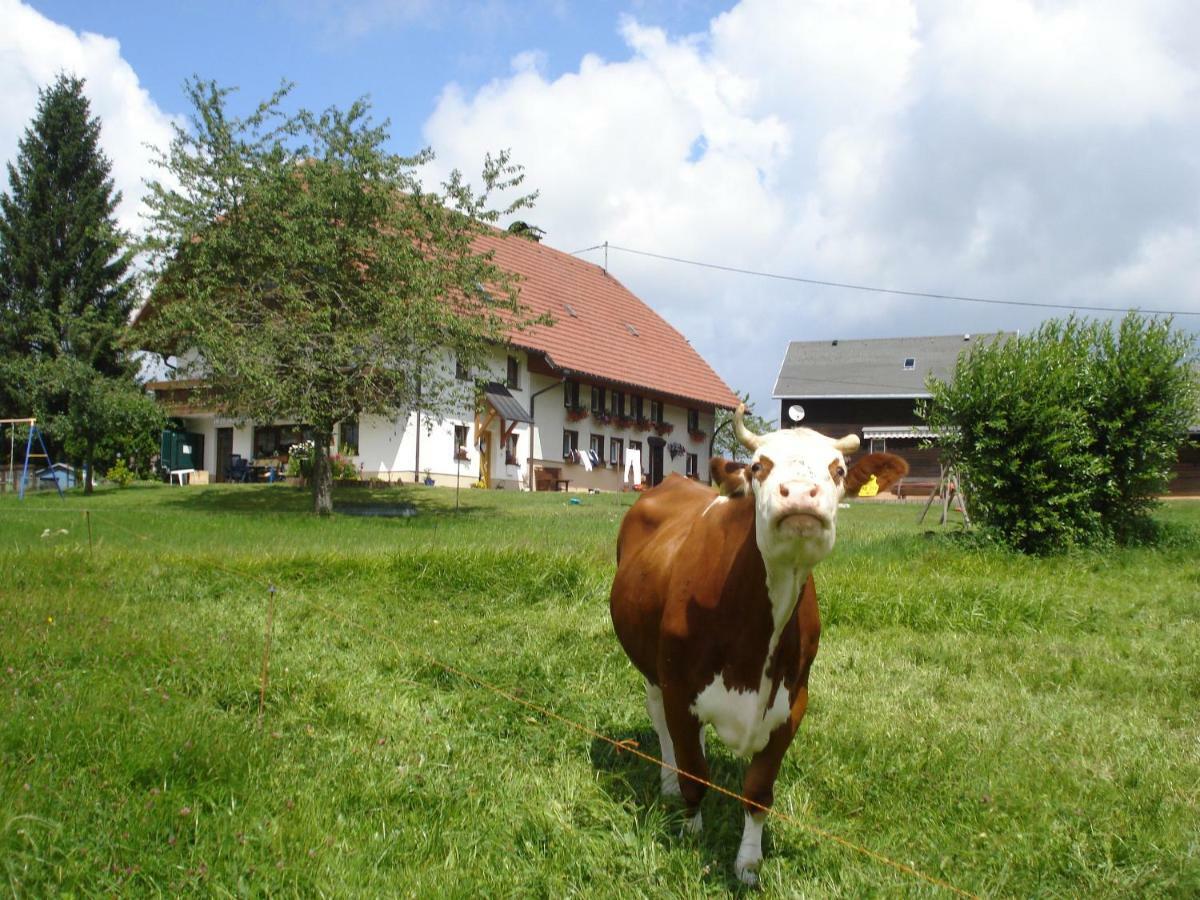 Ferienhaus Ehinger Leilighet Breitnau Eksteriør bilde