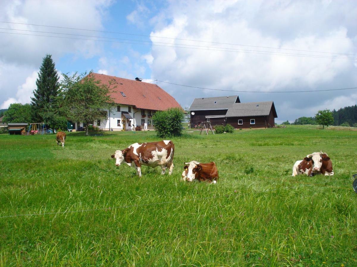 Ferienhaus Ehinger Leilighet Breitnau Eksteriør bilde