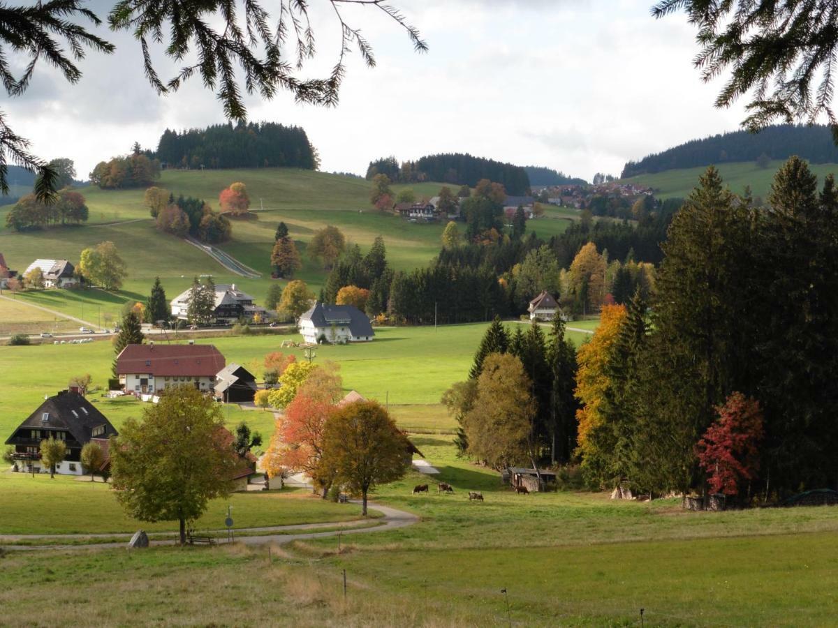 Ferienhaus Ehinger Leilighet Breitnau Eksteriør bilde