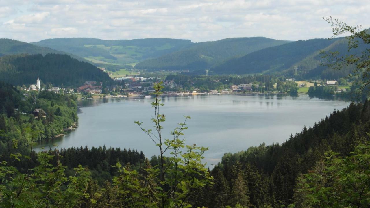 Ferienhaus Ehinger Leilighet Breitnau Eksteriør bilde